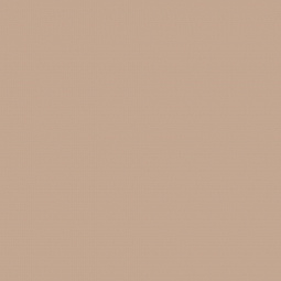 Фон бумажный Falcon Eyes BackDrop 26 2.72х10м Бежевый