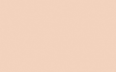 Фон бумажный Colorama CO134 2.72х11м Oyster