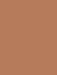 Фон бумажный E-IMAGE Background paper 25 2.72х10м Beige