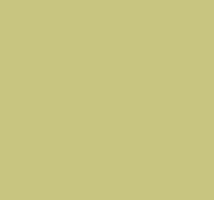 Фон бумажный E-IMAGE Background paper 13 2.72х10м Tropical green