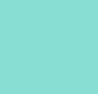 Фон бумажный E-IMAGE Background paper 55 2.72х10м Alpine