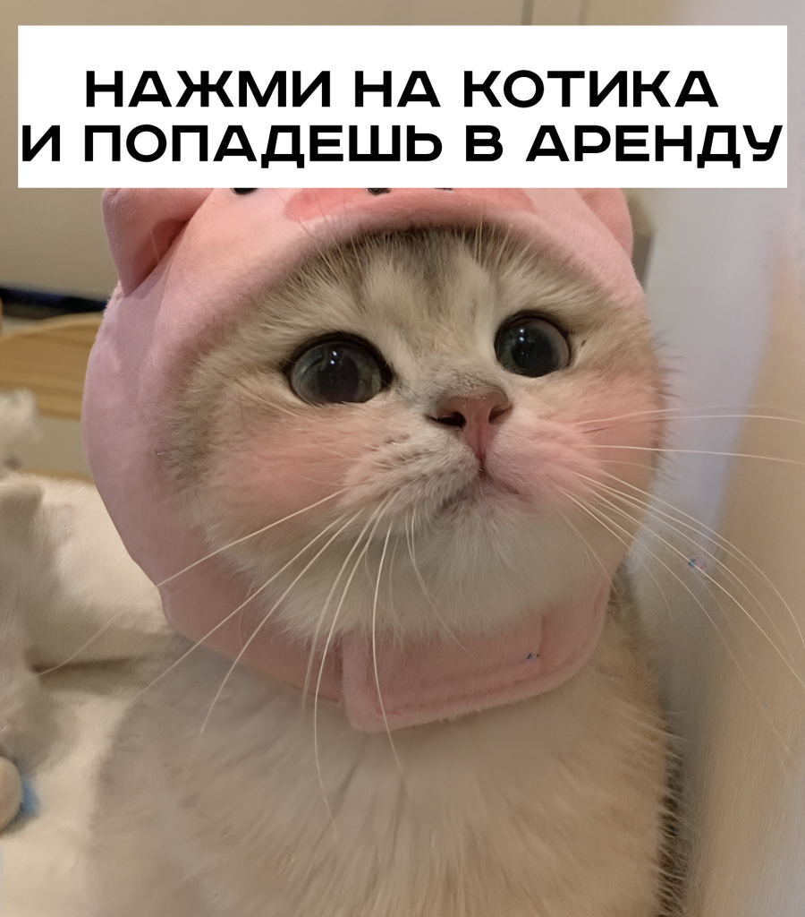 КОТИК ГОТОВО copy.png