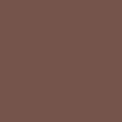 Фон бумажный E-IMAGE Background paper 20 2.72х10м Coco brown