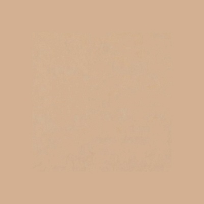 Фон бумажный E-IMAGE Background paper 66 2.72х10м Wheat