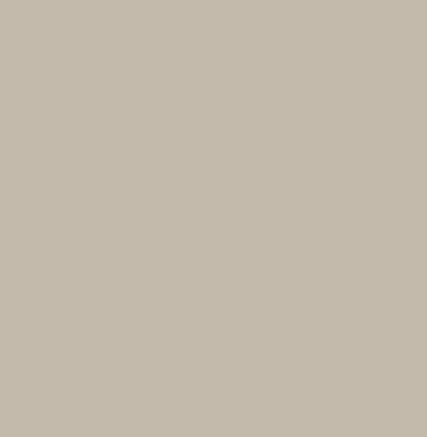 Фон бумажный Raylab 047 2.72х11м Dull Aluminum