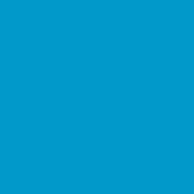 Фон пластиковый Colorama CO5047 1x1.3м ColorMatt