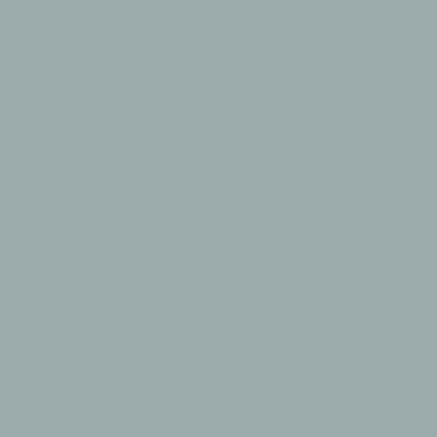 Фон бумажный E-IMAGE Background paper 21 2.72х10м Pursuit grey