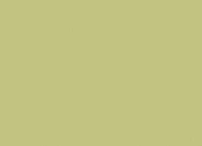 Фон бумажный Colorama CO112 2.72х11м Fern