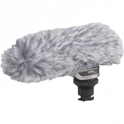 Микрофон Canon DM-100, накамерный, всенаправленный