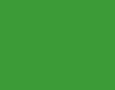 Фон бумажный Savage 46-1253 1.35х11м Widetone Tech Green
