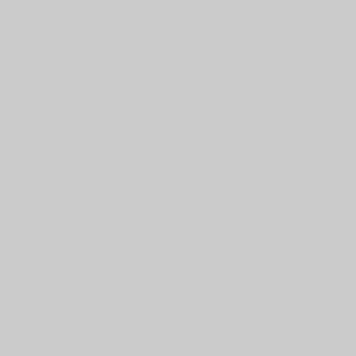 Фон бумажный Raylab 005 2.72х11м Dove Grey