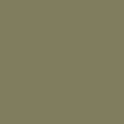 Фон бумажный E-IMAGE Background paper 10 2.72х10м Leaf