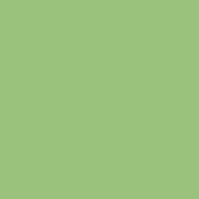 Фон бумажный E-IMAGE Background paper 63 2.72х10м Apple
